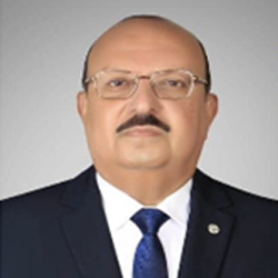 Tarek Elwakil